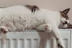 Choose A Electric Radiator Devon